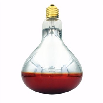 ইনফ্রারেড হিট ল্যাম্প বাল্ব